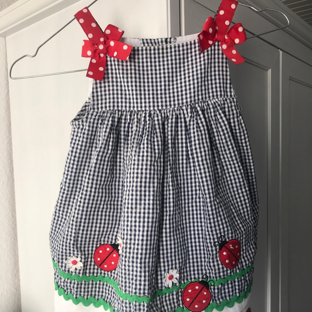 🎉Host Pick🎉 Gingham seersucker ladybug dress